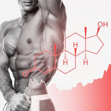 The Science Behind Sauna Use for Boosting Human Growth Hormone - Secret Saunas