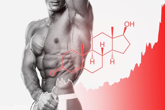 The Science Behind Sauna Use for Boosting Human Growth Hormone - Secret Saunas