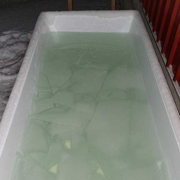 Cold Plunge Tub | Dundalk Leisurecraft Polar Plunge Tub